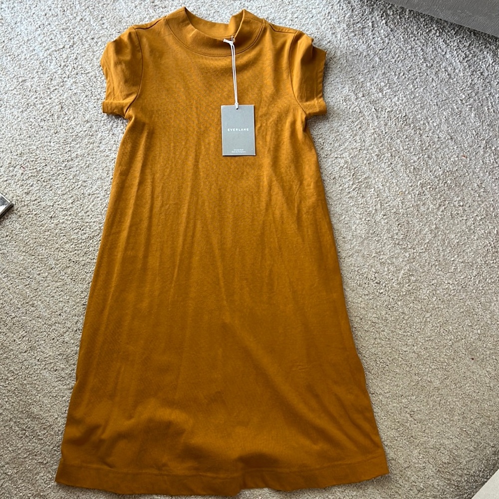 Everlane swing dress